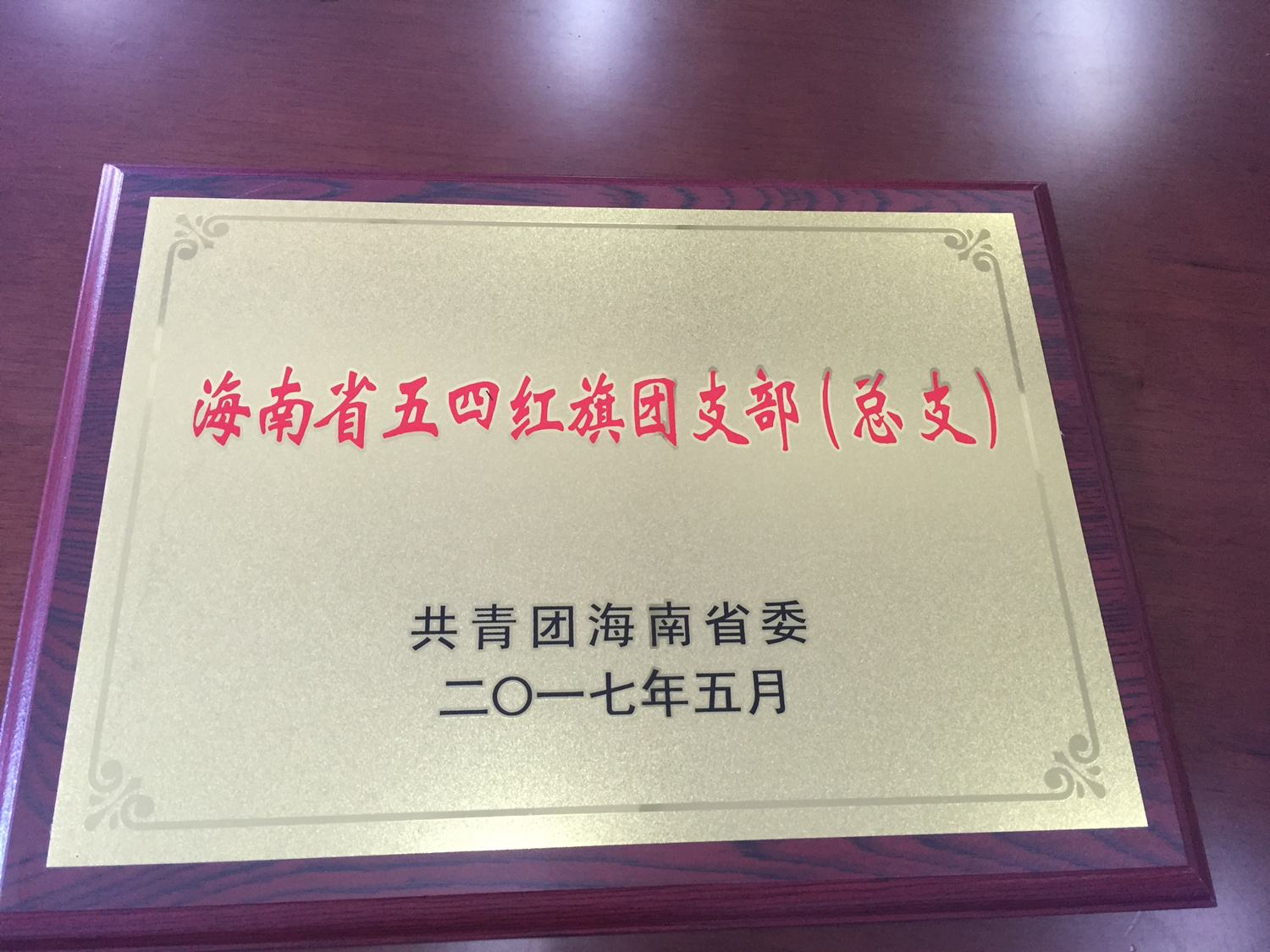 我院共青团工作获多项荣誉